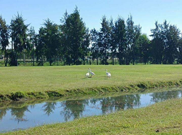 Terreno · 1000m²
