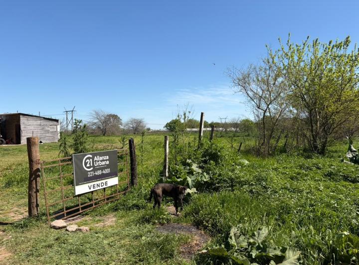 Terreno · 100m²