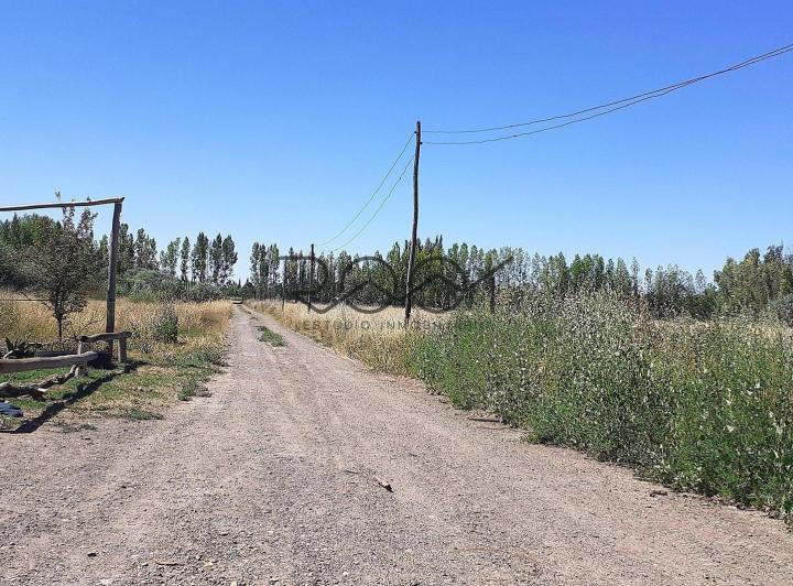 Campo · 60924m²