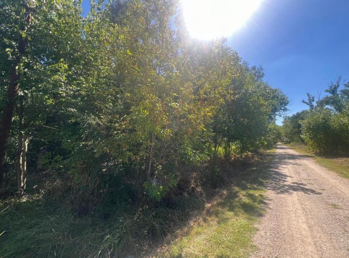 Terreno · 3200m²