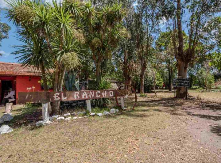 Terreno · 260m²