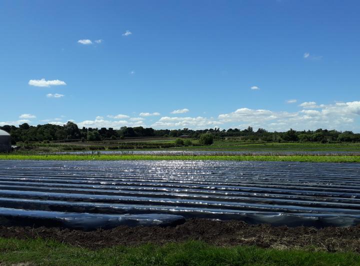Terreno · 135000m²