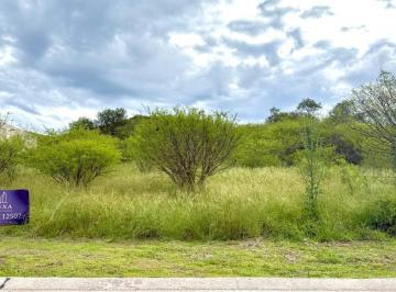 Foto · Colinas de La Deseada 515 m² de Tranquilidad, Hermosas Vistas y Aire Puro ¡Imperdible, Visitalo Hoy!