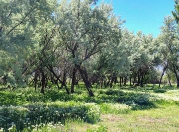 Campo · 30000ha · Chacra en Contralmirante Cordero