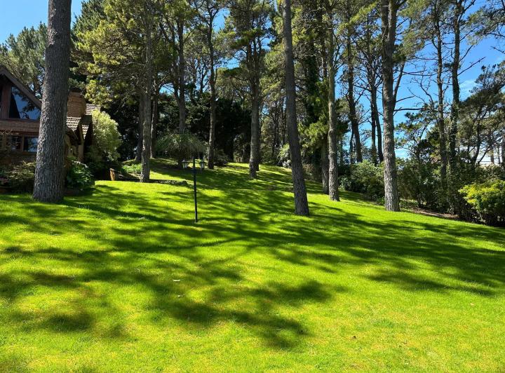 Terreno · 951m²
