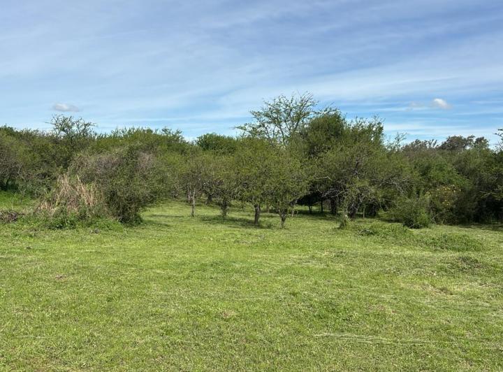 Terreno · 1873m²