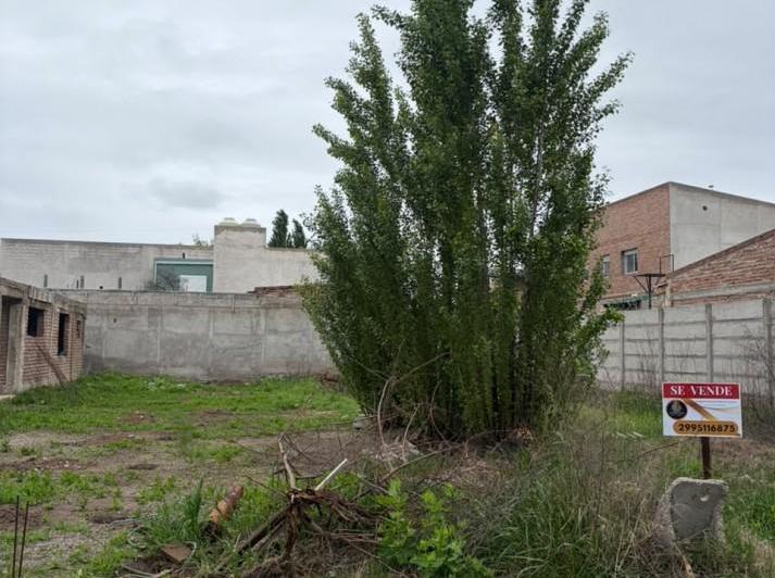 Terreno · 333m²