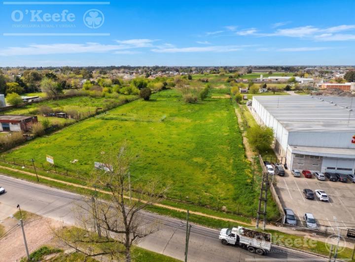 Terreno · 310m²
