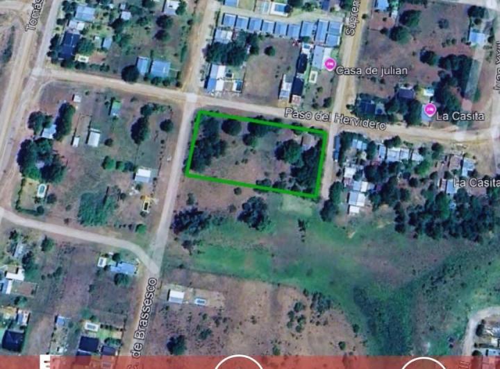Terreno · 50000m²