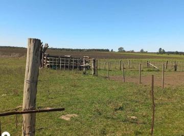 Campo · 43ha · Hermoso Campo 43 Hectáreas