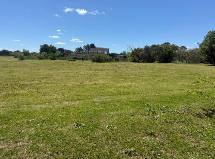 Terreno · 875m²