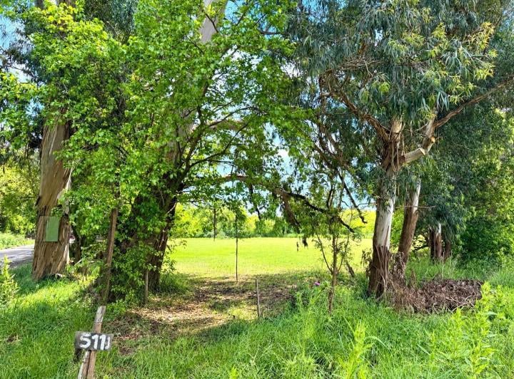 Terreno · 9700ha · 1 Ambiente