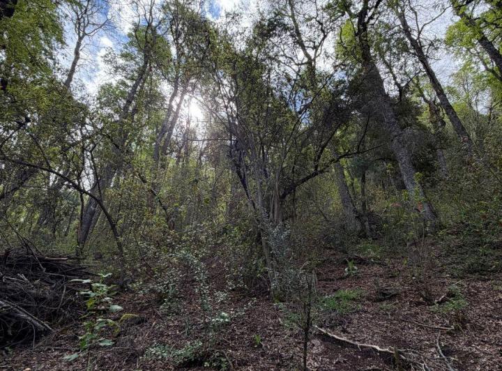 Terreno · 2747m²