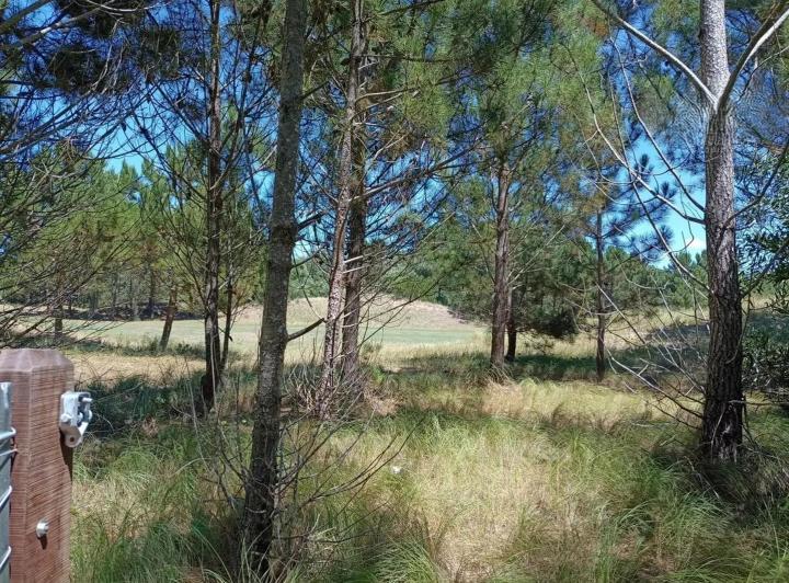Terreno · 1019m²