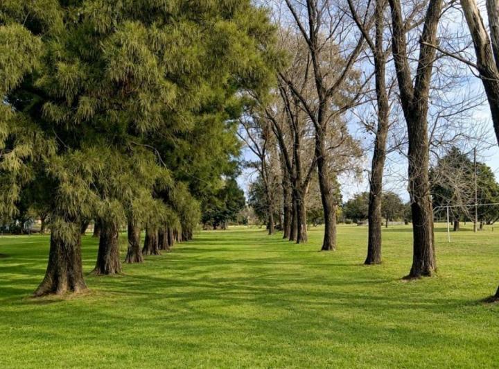 Terreno · 12900m²
