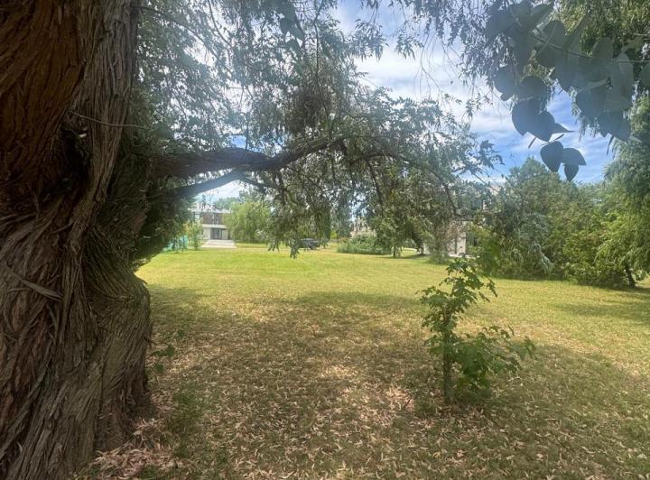 Terreno · 1232m²