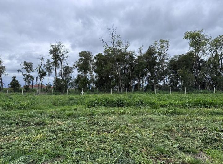 Terreno · 807m²