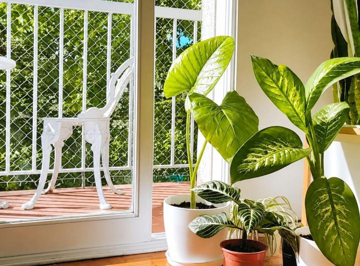 Departamento · 53m² · 3 Ambientes · 1 Cochera