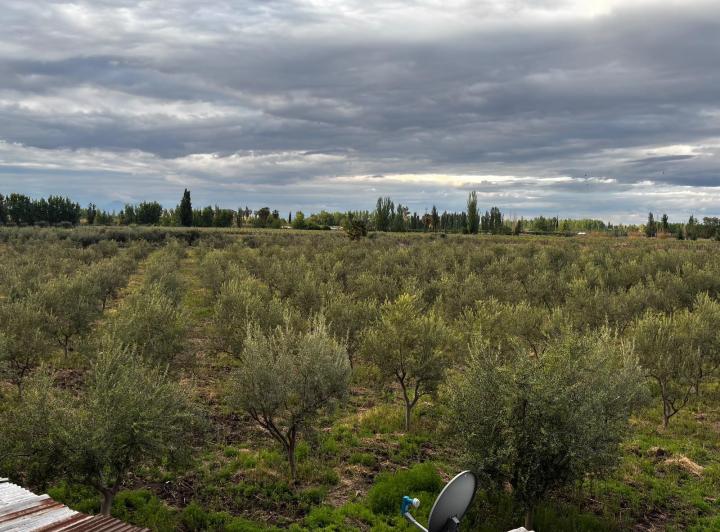 Terreno · 43m² · 1 Ambiente