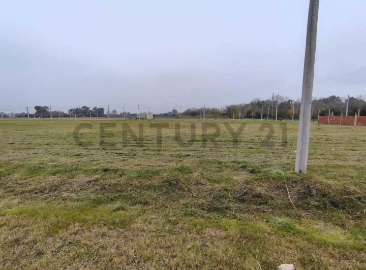 Terreno · 362m²