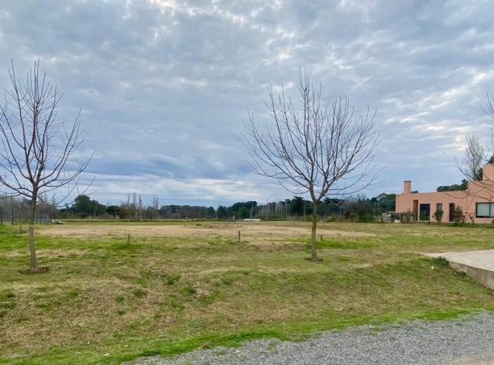 Terreno · 1002m²
