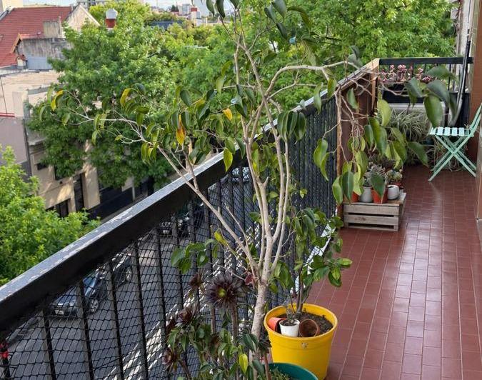 Departamento · 70m² · 3 Ambientes