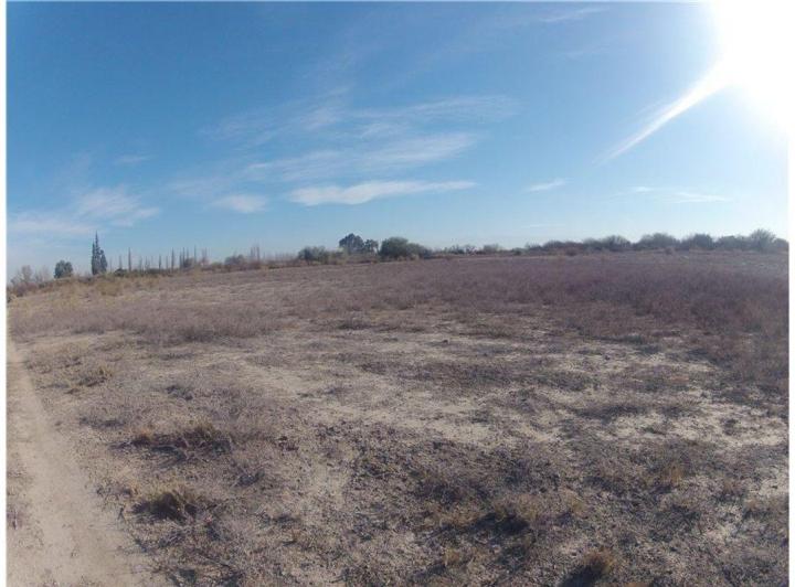 Campo · 130ha