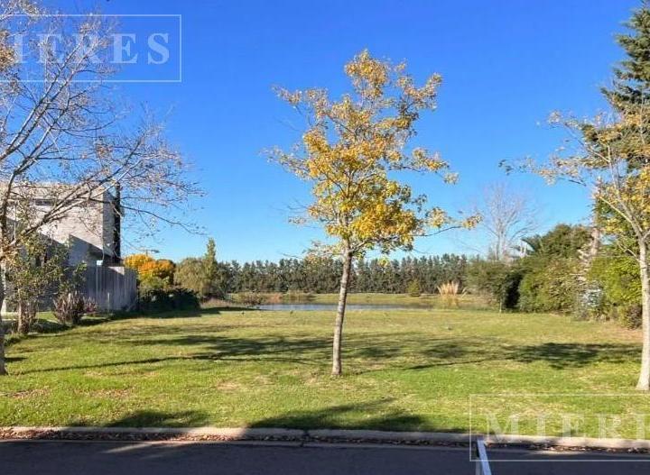 Terreno · 1005m²