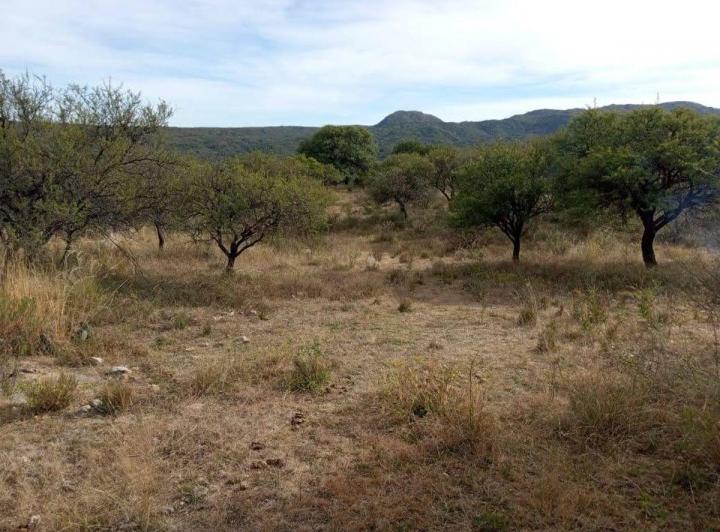 Terreno · 10000m²