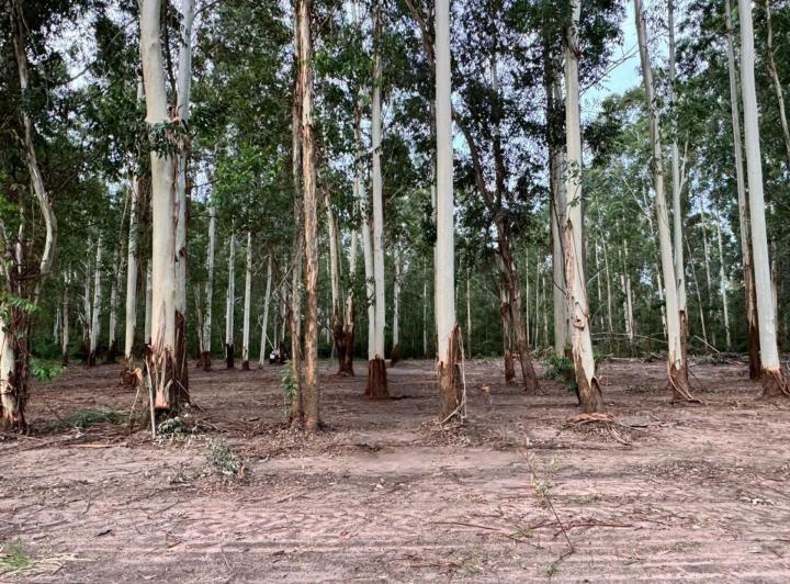 Terreno · 1000m²