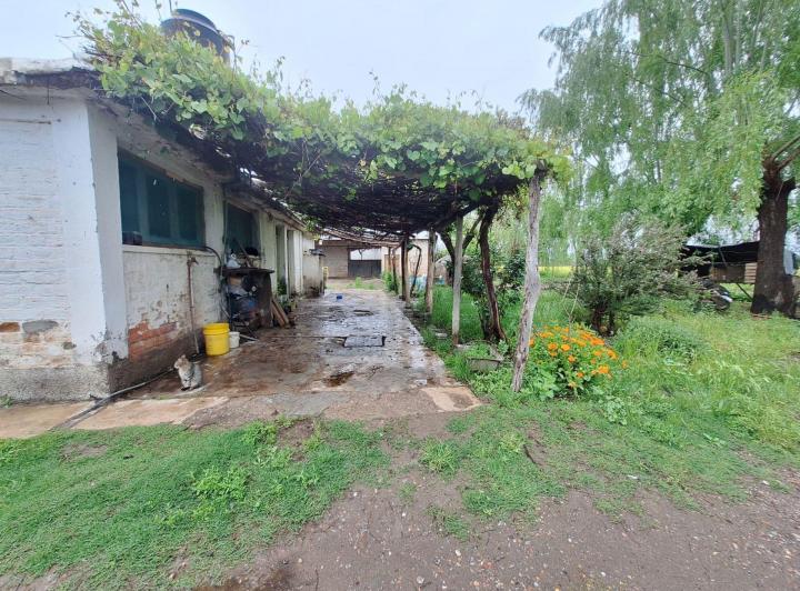 Campo · 15600ha