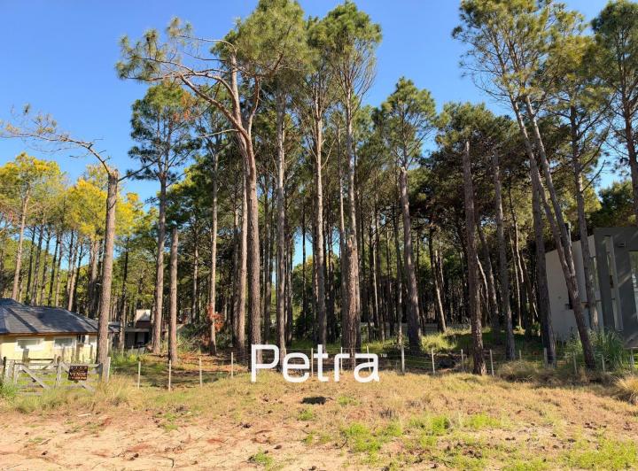 Terreno · 1009m²
