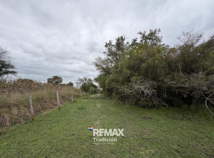 Campo · 84ha