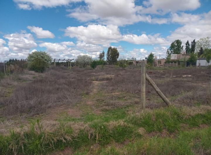 Terreno · 5000m²