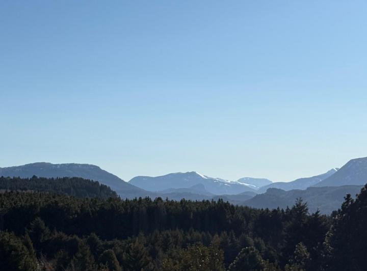 Terreno · 300m²