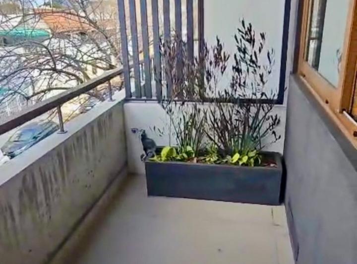Departamento · 49m² · 2 Ambientes