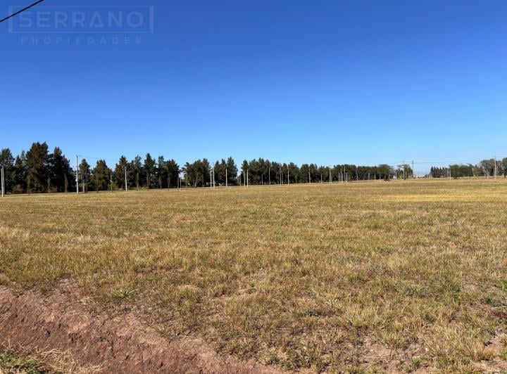 Terreno · 1000m²