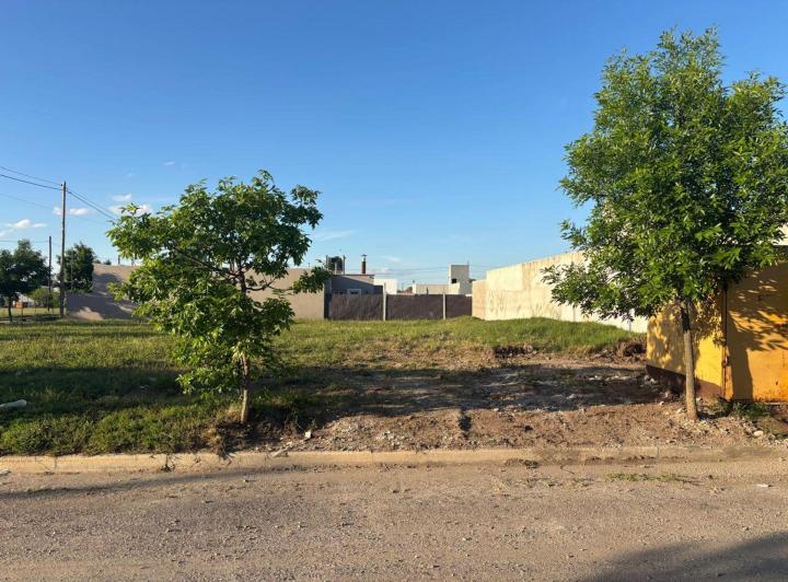 Terreno · 342m²