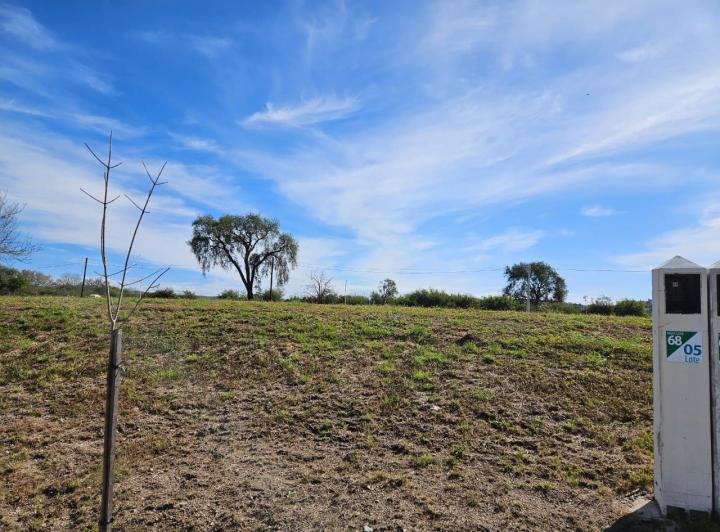 Terreno · 350m²