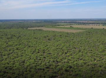 Campo · 110ha · Venta de Campo Nueva Francia