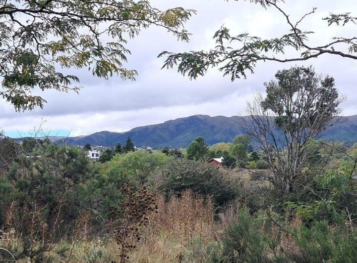 Terreno · 2060m² · 1 Ambiente
