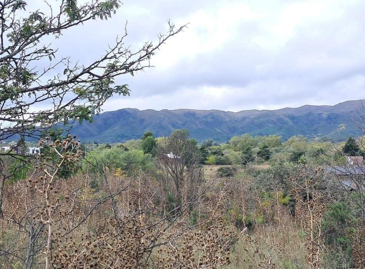 Terreno · 2050m² · 1 Ambiente