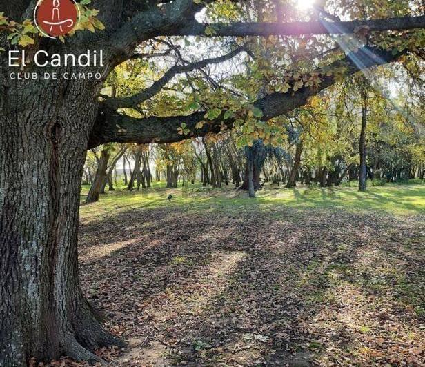 Terreno · 1040m²