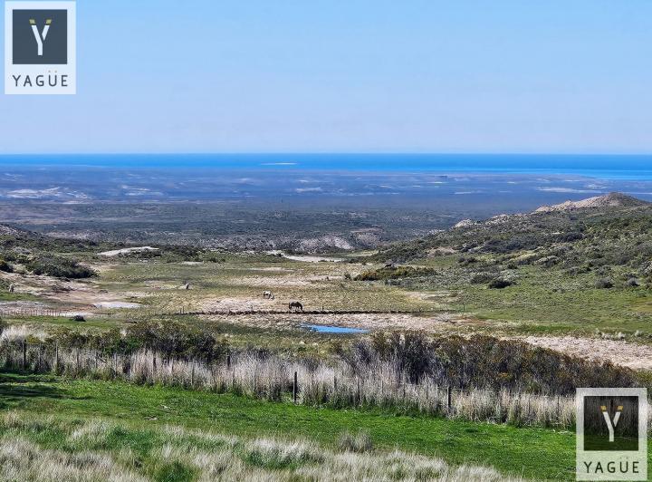 Campo · 25000ha · 14 Ambientes · 10 Cocheras