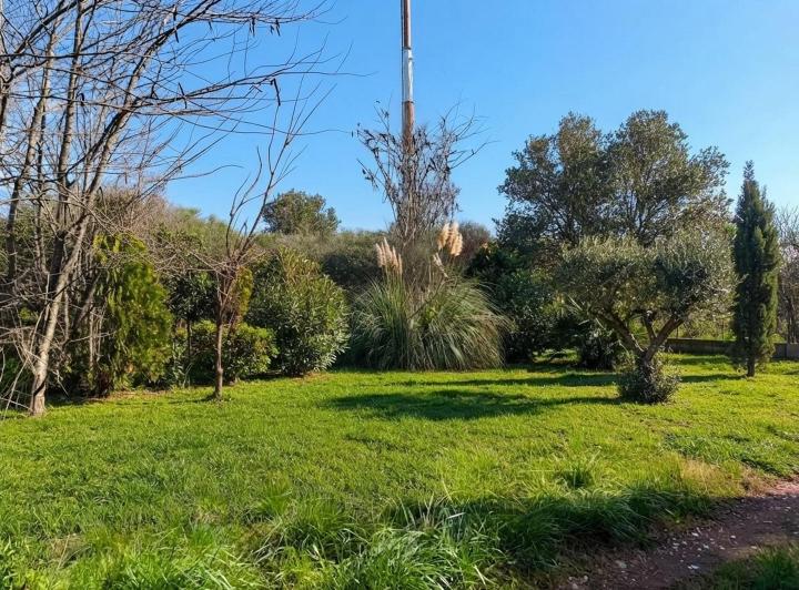 Terreno · 983m²