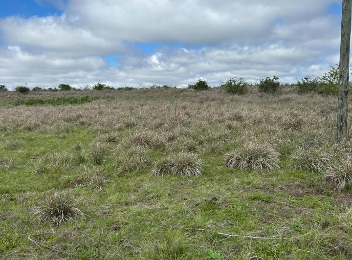 Terreno · 500m²