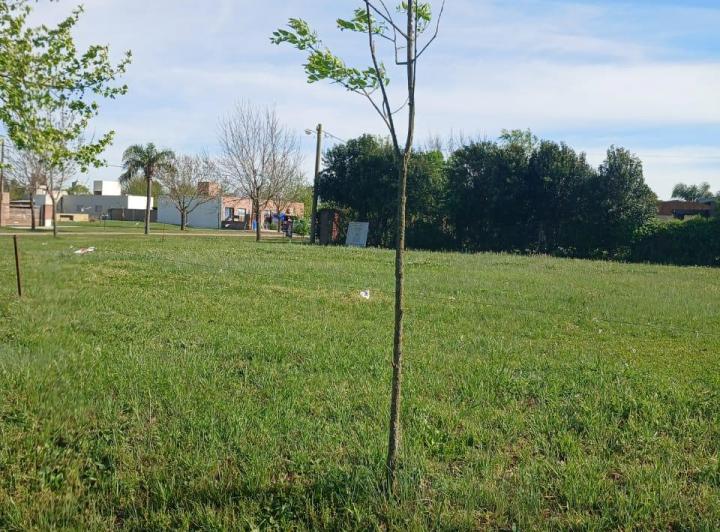 Terreno · 765m²