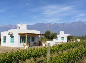 Quinta vacacional · 137m² · 5 Ambientes · 2 Cocheras · Complejo Turistico con Vista a Los Andes en Venta en Valle de Uco | 2 Cabañas, Piscina y Viñedos