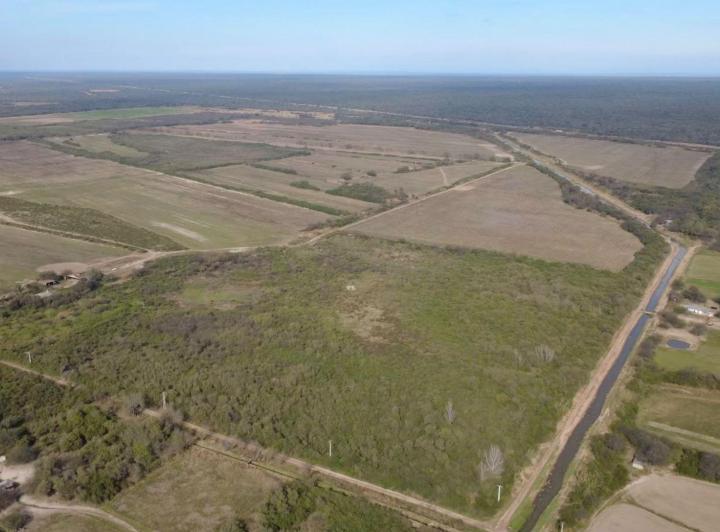 Campo · 430ha