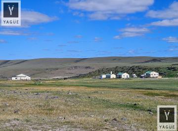 Campo · 56000ha · 5 Ambientes · 4 Cocheras · Campo en Rio Calafate